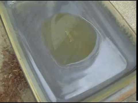 How to Make The Cure for Cancer (Cannabis Oil)