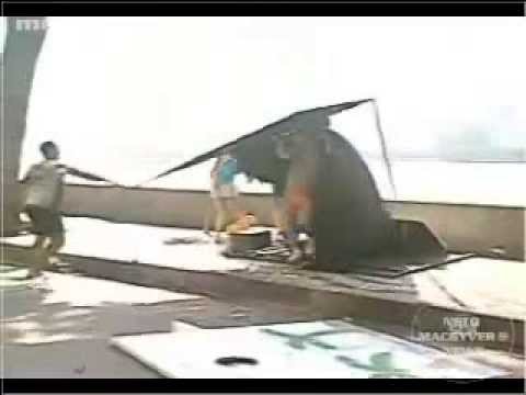 Pegadinha da curiosidade, não olhe ou senão