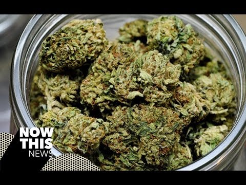 Marijuana Reduces Suicides, Study Says - NowThis News - News