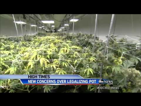 Colorado's Legalization of Marijuana Could Generate Millions for the State, but at What Co