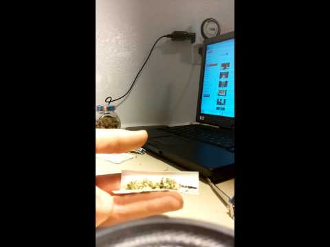 QUICK TO - Roll the Perfect Joint