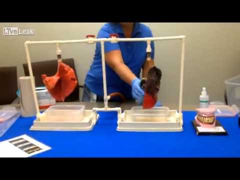 Did You Smoke Marijuana Marco Rubio?