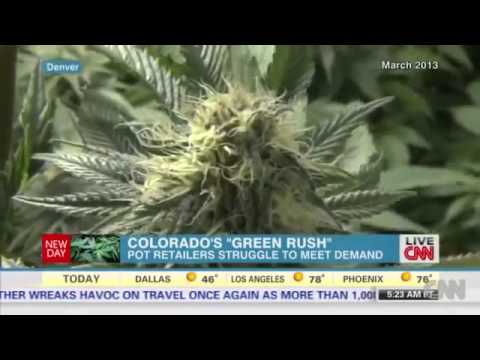 Crowds line up to buy pot