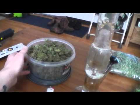 Guess the grams CONTEST! + Bomb-ASS Mystery harvest