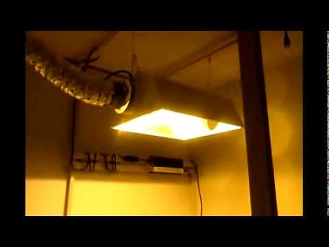 600  watt grow room build and setup pt1