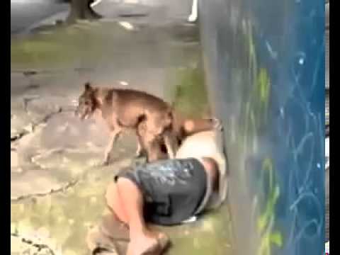 Como dizem, cu de bêbado não tem dono kk! Dog trying to having sexy with drunk