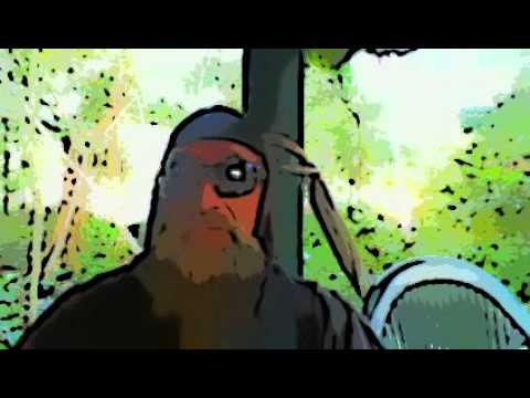 #BLACK HOLE' SUN A REALITY. INSIDE EVENT HORIZON(s)(2?).