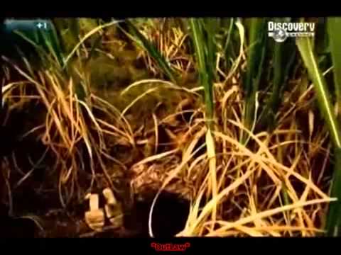 Serial Killers: Arthur Gary Bishop (Full Crime Documentary)