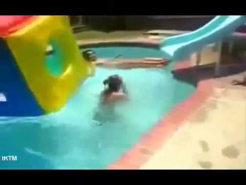 Gata de biquíni SE DANDO MAL! Videos engraçados Pegadinhas Cacetadas Sustos Tombos Fails Compilation