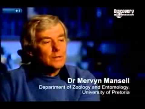 Moses Sithole - Serial Killer Documentary