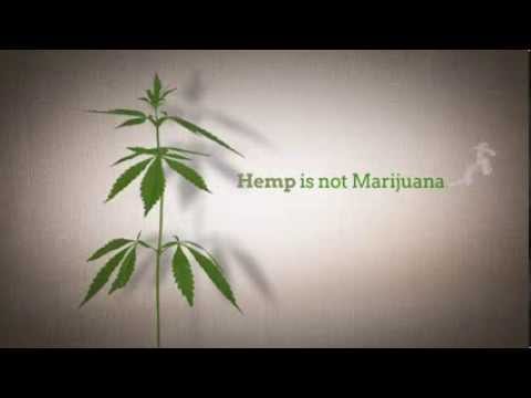 The World's First Hemp CBD MLM is Here! 100% Legal in all 50 States!  Cannabis