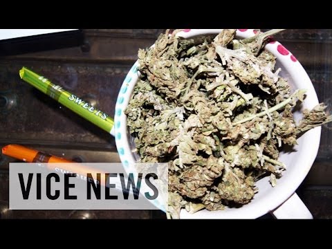 Jamaican Bud Business (Teaser)