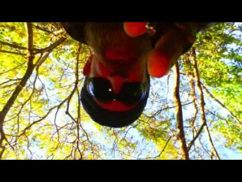 #Florida WomanDrivesVanWithKidsIntoSea: TheMotherHasTheRightToKillThemAll? DoNotDemonizeHer::ItsUSA!