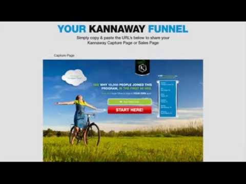 CBD Marketing Tools - Cancer / Cardioivascular Disease  / Crohn's Disease / Depression