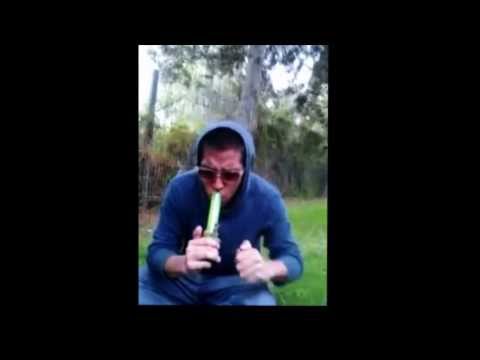 Tripping on 30x Salvia!!