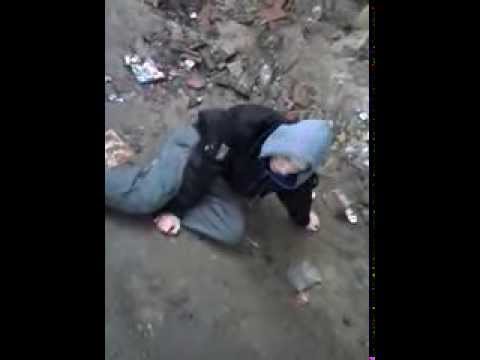 SALVIA TRIP POLAND ' 2014 ( 4 Fun )