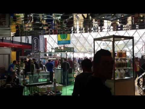 Spannabis Barcelona 2014: The Biggest Marijuana Expo on the Planet