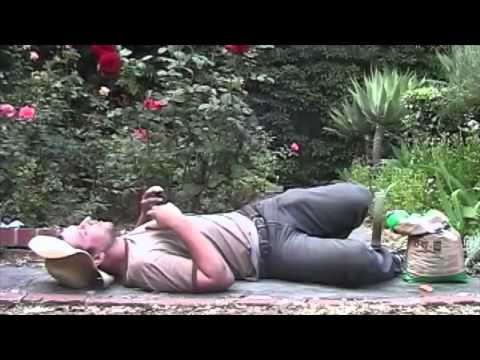 Gardening While Tripping On Salvia