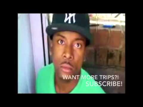 Huge Salvia Trip freakout!