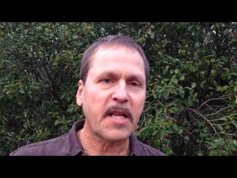 Terrible Pain after Car Accident, Medications did not help until BEMER changed my life!