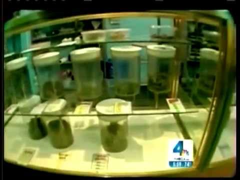 Welcome to 420 Law Office, Civil Rights and Medical Marijuana Lawyer Stewart Richlin