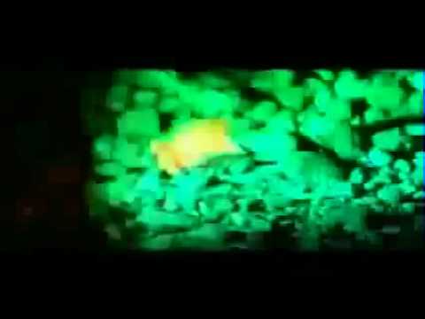 The Southside Strangler : Documentary on Serial Killer Timothy Spencer