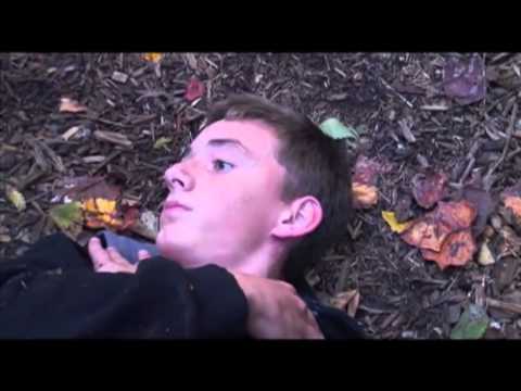 Double Hit of Salvia = Faceplant