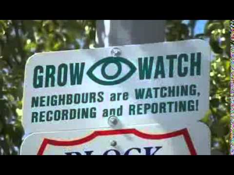 DIE BESTE MARIJUANA Dokumentary you will ever watch {Doku/Dokumentation/Reportage}