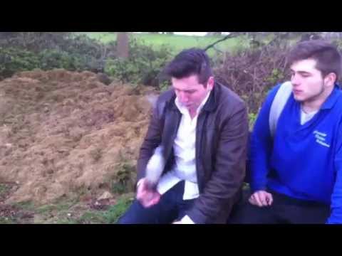 4 People Tripping on Salvia!? - WeedOrSalvia