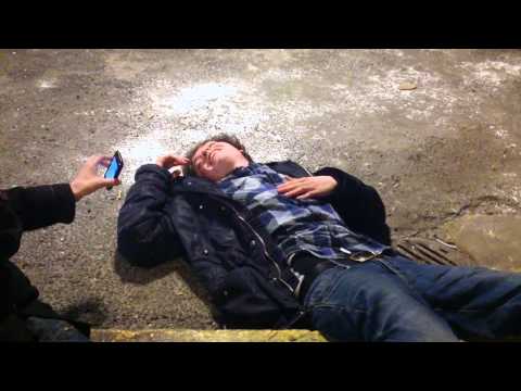 60x Salvia Trip - WeedOrSalvia