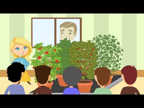 Green Monster LED Grow lights -Monstrous Growth- Spend Less, Grow More