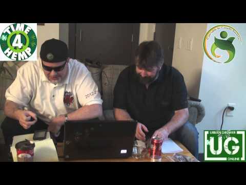 (Urban Grower) Remo and Jason on Time4Hemp