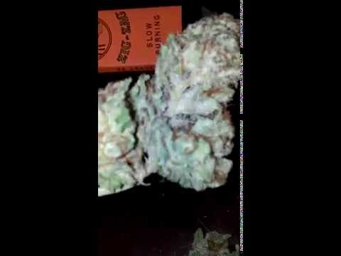 quick look at previous harvest