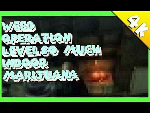 Hitman Absolution - Weed operation level - so much indoor marijuana [4K 1080p HD]