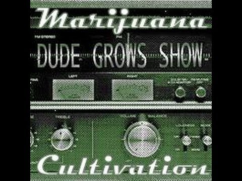 Dude Grows Show Growing Marijuana #24