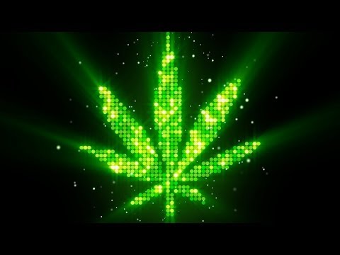 10 Curious Facts About Marijuana