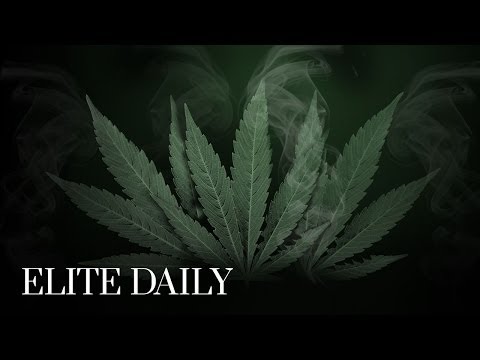 Everything You Need To Know About Marijuana