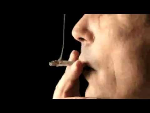 TURNT UP KAWAII 420 (TRIPPY)