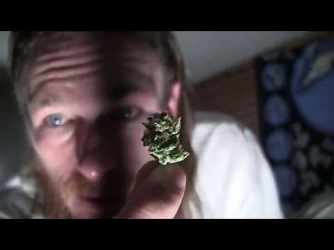 tokin daily: blood moon?  bong moon.