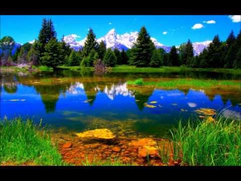 PGT 197 Part 4:  Carrie Justice Talks About Decrim in Saginaw