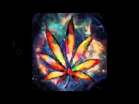 Marijuana Policy Project pt2