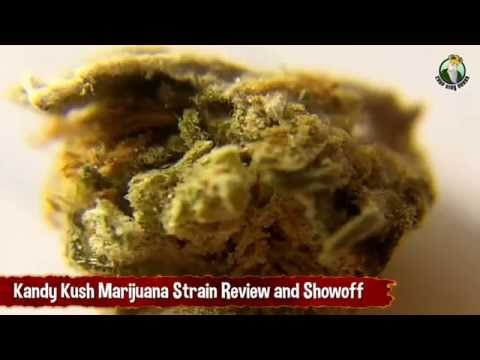Kandy Kush Marijuana Strain Review and Showoff