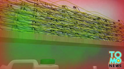 Marijuana and cockfighting-cops raid Miami home and find hidden grow center