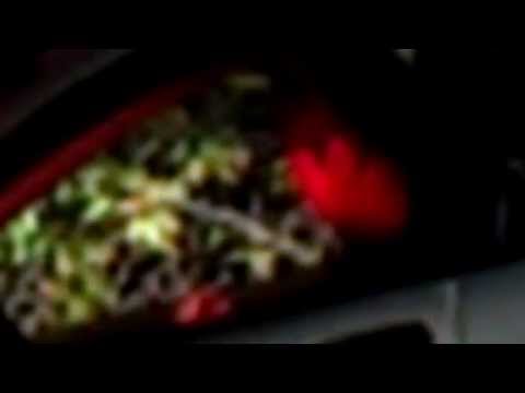 Caught on video - Mary Jane Bongin' at In N' Out Burger drive through WOOPS!  Are these your kids?