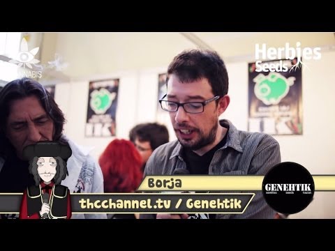 Spannabis 2014 - Genehtik Seeds